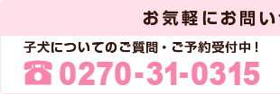 お気軽にお問い合わせください。子犬についてのご質問・ご予約受付中
！電話：0270-31-0315