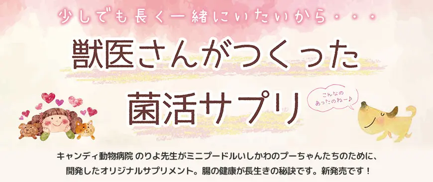 少しでも長く一緒にいたいから・・・　獣医さんがつくった菌活サプリ　キャンディ動物病院 のりよ先生がミニプードルいしかわのプーちゃんたちのために、開発したオリジナルサプリメント。腸の健康が長生きの秘訣です。新発売です！