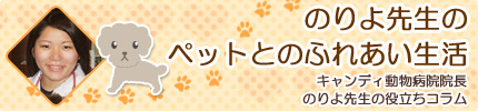 のりよ先生の役立ちコラム