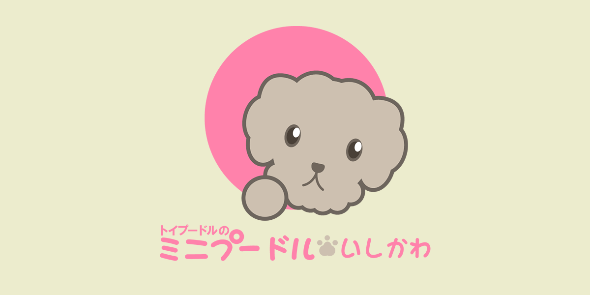 トイプードル 3点セット 通園・通学3点セット》トイプードル・ブルー ＃n511の通販 by