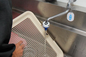 写真:トイレパッドの清掃