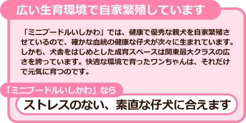 広い成育環境で自家繁殖しています