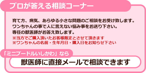 プロが答える相談コーナー