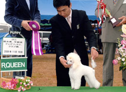 写真：リリカちゃん