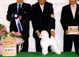 写真：ロードちゃん