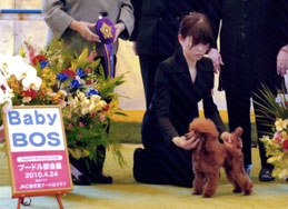 写真：シンバちゃん